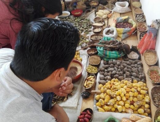 Parcela Agroecológica El Laurel