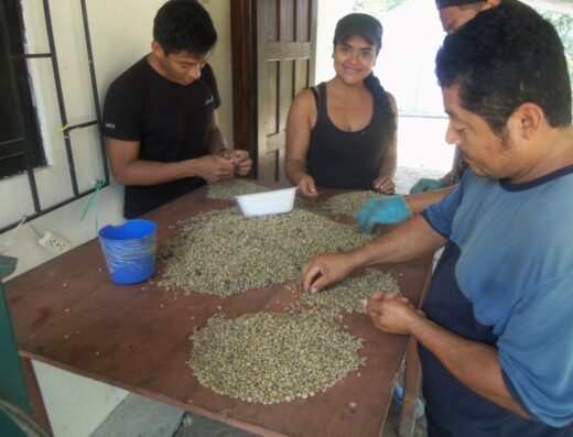 Asoprocoffee