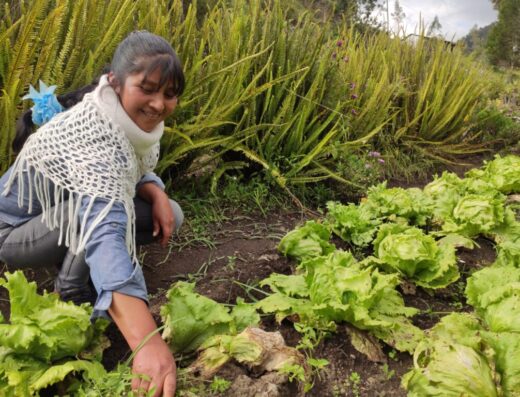 Feria de Productores Agroecológicos de Bolívar