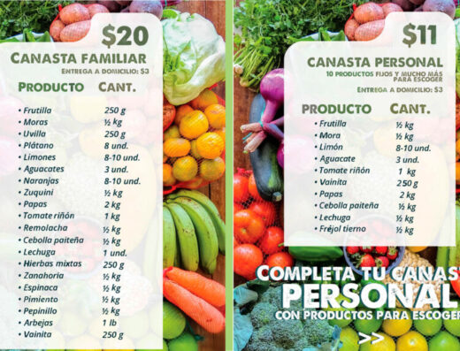 Canasta Bio-Vida