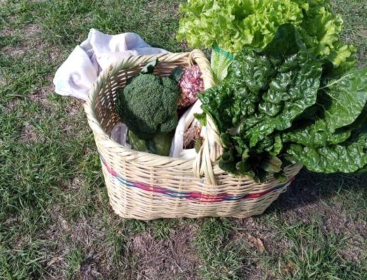 Feria Agroecologica AMPAGSU