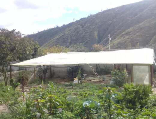 Granja Integral Agroecológica Mayitas