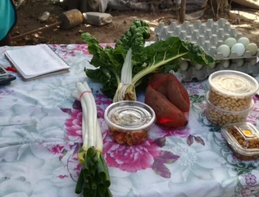 Feria Agroecológica Arte y Cultura La Carolina