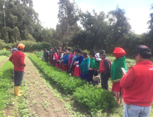 La Alegría Finca Orgánica