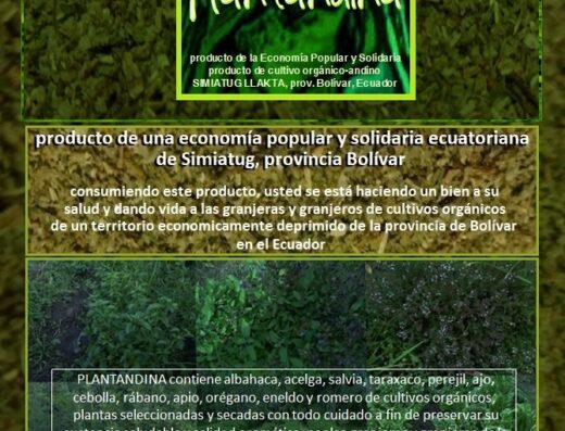 Simiatug Llakta Plantandina
