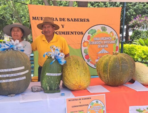 Feria Orgánica Ecológica y Artesanal de Nayón