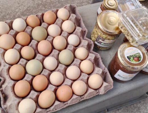 Orgánica feria agroecológica